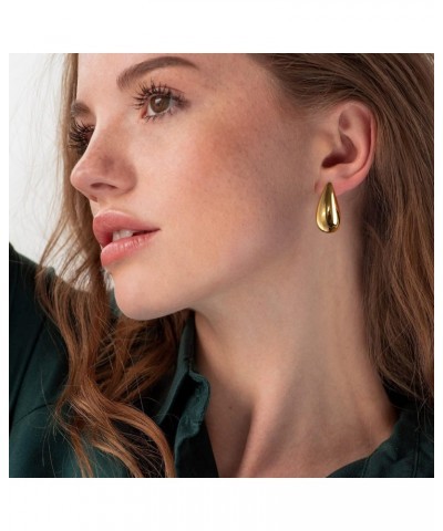 Gold Hoop Earrings for Women, Small Drop Earrings with 18K Gold Plated Stainless Steel, Trendy Jewelry for Women $17.39 Earrings