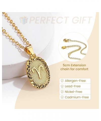 Gold Zodiac Necklace for Women Men, Constellation Coin Horoscope Astrology Pendant Necklaces Lucky Jewelry 12. Pisces (Feb 19...