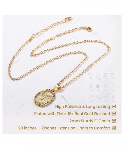 Gold Zodiac Necklace for Women Men, Constellation Coin Horoscope Astrology Pendant Necklaces Lucky Jewelry 12. Pisces (Feb 19...