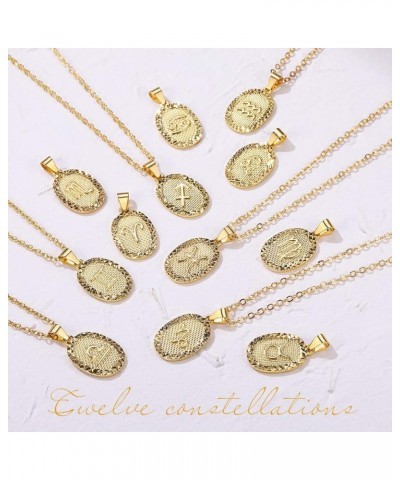 Gold Zodiac Necklace for Women Men, Constellation Coin Horoscope Astrology Pendant Necklaces Lucky Jewelry 12. Pisces (Feb 19...