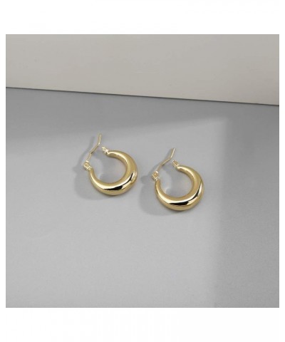 Chunky Gold Hoop Earrings for Women Cute Fashion Hypoallergenic earrings Minimalist Jewelry Gift Gold $8.90 Earrings