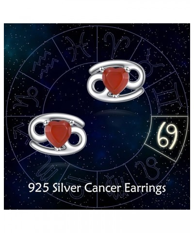 Zodiac Constellation Earrings with Heart-Shaped Birthstones Aquarius Earrings Cancer $13.51 Earrings