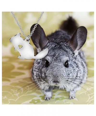 Chinchilla Pendant Necklace Chinchilla Lover Gift For Chinchilla Pet Owner chinchilla necklace $8.66 Others